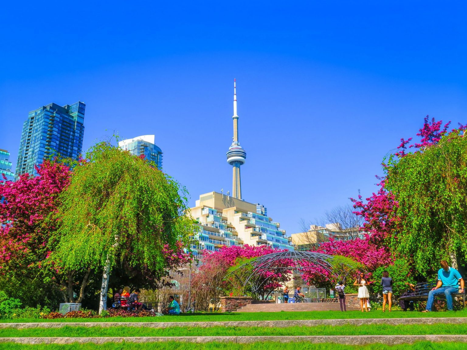 10 Incredible Things To Do In Toronto This Summer