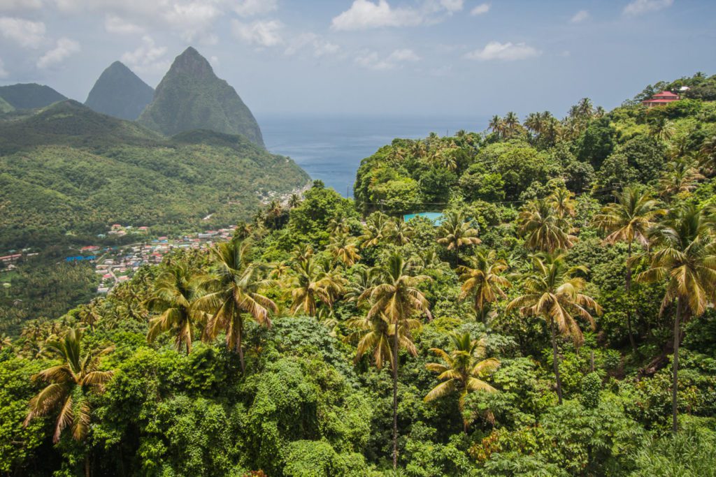 Zip lining across the jungle in St Lucia