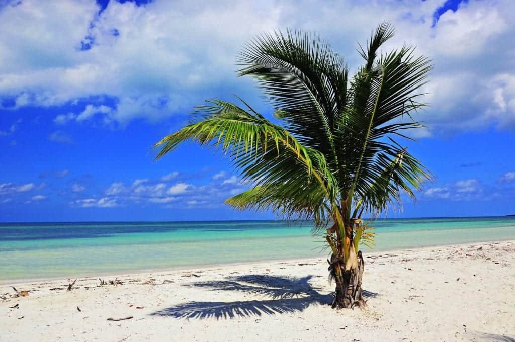 Beautiful Cuba beach